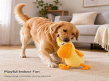 Bird Plush Dog Toy, Crinkle Squeaky Dog Plush Toys Stuffy for Interactive Play, Builtin Squeaker V1366-AZ2-W-24841