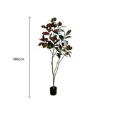 Potted Artificial 180cm Magnolia Tree V637-DP75269KD