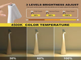 Portable LED Table Lamp 13.5" H Touch Control, 3 Brightness Levels, Rechargeable Desk Light for V1107-CS-GJTDB