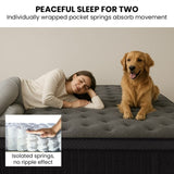 KINGSTON SLUMBER Premium Luxury 34cm Queen Mattress, Medium-Firm, Natural Latex Layer, Euro Top, V219-BEDMATKSLX4A