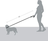 5 FT Strong Dog Leash with Comfortable Foam Handle Highly Reflective Threads with Metal Clasp V1258-DP02-F-545