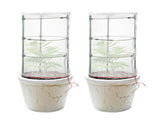 Garden Plastic Multifunctional Plant Covers Protectors Transparent Jar Prevent Birds Frost V1294-YM0523-220222DJ01