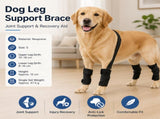 S Size Adjustable Dog Knee Brace set - Include front and hind legs Soft Neoprene Leg Support Sleeve V888-ELOSUNG56000