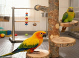 Bird Perch, 14.6", Includes 3 Circular Platforms &ing Bar, Bite-Resistant Toy, Parrot V1192-AZ-W-18442