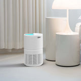 Air Purifier and Cleaner with HEPA Filter, Sleep Mode and Timer V196-AP90