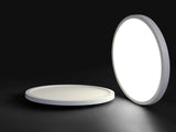 LED Ceiling Light Fixture, Natural Light, 9W V178-35401
