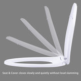 Premium Elongated Toilet Seat with Bidet T Adapter V1258-DP02-C-838