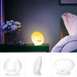 Sunrise Alarm Clock Wake Up Light 7 Sounds, Dual Alarms, Snooze, FM Radio V413-SUNSHINE ALARM