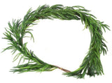 Artificial Norfolk Pine Garland 106in Lifelike Xmas Pine Garland for Mantle Table Stair Handrail V1294-YM0901-240703FB06-3