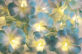 1 Set of 50 LED Tropical Blue Frangipani Flower Battery 5m LONG String Lights Christmas Gift Home V382-BLUEFRANGIBATT50
