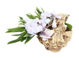 Artificial Driftwood Succulent Planter Faux Wood Resin Succulent Planter for Windowsill Desktop V1294-YM0710-3111230268411