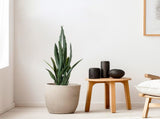 SOGA 2X 95cm Sansevieria Snake Artificial Plants with Black Plastic Planter Greenery, Home Office APLANTFH9510X2