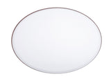 Modern LED Ceiling Light Minimalist Round Ceiling Lamp Fixture with Remote 3 Color Temperature V1294-YM0901-3119240144812