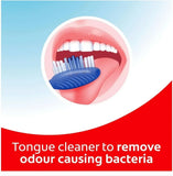 12x Colgate Extra Clean Toothbrush Medium V563-8714789162546-12PCS