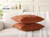 18" x 18" Decorative Throw Pillow with Inserts, Set of 2 Soft Modern Farmhouse Throw Pillows, Square V1258-DP02-C-3208