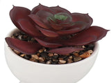 4Pcs Artificial Succulent Plant Cute Ceramic Faux Succulent Flower Pot Decoration Set for Office V1294-YM0901-3115240013111