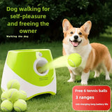 Automatic Pet Ball Launcher Toy with 3 Smart Launch Modes, Built-in Li-ion Battery & USB Charging, V1232-ZDTZQ-GG-001