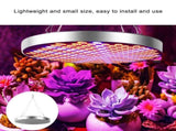 50W Indoor Plants LED Growing Light Full Spectrum Round Plant Grow Lamp V1294-YM0901-ZM01984-04