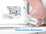 Premium Elongated Toilet Seat with Toilet Seat Bumpers V1258-DP02-C-839