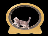 Cat Running Wheel w/ Carpet Runway Cat Exercise Wheel for Fitness Cat Treadmill V63-841891