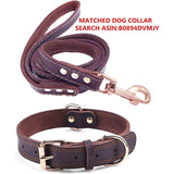 Premium Genuine Leather Dog Collar/Durable Real Leather Adjustable Collars For Male Female V1188-MS-227-1674