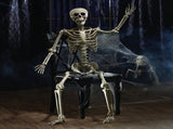 Life Size Standing Skeleton with Movable Joints V1142-LP601103078257558