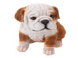 English Bulldog Puppy Statue Lifelike Resin Bulldog Sculpture for Garden Lawn Porch Decoration V1294-YM0703-3111230093412