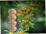 Suet Feeders for Outdoors Hanging Rustproof Metal Suet Holder Cylinder Feeder Portable V1192-AZ-W-10005