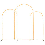Arch Stand, Set of 3, 2.2/2/1.8 m , Stable Structure, Easy Assembly, Gold Metal Arch V952-BYDGMJSJT72FV0MUO001V0