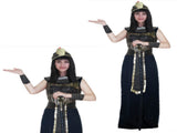 Ladies Deluxe Egyptian Queen Costume Cleopatra Ancient Roman Egypt Goddess Party V563-12254