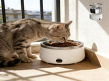 Pet Yogurt Maker Constant Temperature Water Dispenser 6.3In 2 in 1 Food Dryer Stainless Steel Bowl V1369-AZ3-W-10175