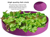 Felt Grow Bag 100 Gallon Breathable Planting Bag for Garden 127x30cm 1mm Thickness Purple V1294-YM0901-XC771A41