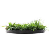 Slimline Artificial Green Wall Disc Art 80cm Country Fern UV Resistant V637-DP9962