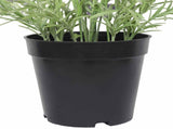 Artificial Lavender Plant 40cm V637-DP1158159