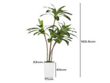 Lambu Artificial Dracaena Tree Lifelike Fake Leaves Artificial Plants Indoors UM1265-6FT-AU
