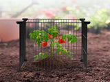 5 Pack Plant Protector from Animals, 390 mm x 390 mm Chicken Wire Plant Protector, Plant Cages for V952-QBWZCL14YCHSHLKV6V0