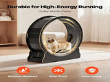 Cat Exercise Wheel, 120 cm Wooden Cat Running Wheel for Indoor Cats up to 12.7 kg, Cats Treadmill V952-MZMPBJLHSMDB3N5ZN001V0