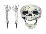 Skeleton Decor Cosplay DIY Multifunctional Lifelike Compact Scary Halloween Skeleton V1294-YM0710-3115210178811