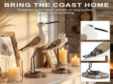 2Pcs Wooden Seagull Figurine, Wide and Weighted Base, Suitable for Desk Decor, Coastal Bird Table V1369-AZ3-W-12335