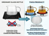25 oz Glass Teapot with Infuser, Stovetop Safe Tea Kettle, Heat Resistant Borosilicate Glass, Works V1370-AZ4-15985
