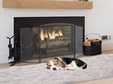 Fireplace Screen 3 Panel, Sturdy Iron Mesh Fireplace Screen, 122CM Spark Guard Cover, No V952-BLMHSFG4555I9GTXEV0