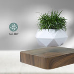 GOMINIMO Magnetic Levitating Plant Pot Dark Brown Base V227-3720101000141