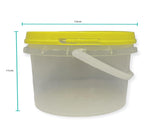 Bulk 10 x 0.8L Honey Bucket with Lid - 1Kg Clear Tamper Proof Plastic Tub V238-SUPDZ-40761477791824