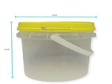 Bulk 100 x 0.8L Empty Honey Bucket with Lid - 1Kg Clear Tamper Proof Plastic Tub V238-SUPDZ-40737427292240