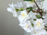 3Pcs Simulated Flower Branches Artificial Blossom Flower Stems for Wedding Home Decoration White V1294-YM0901-241129HL02-1