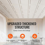 Ceiling Tiles, 16-Pack 20 x 20 in, Drop Ceiling Tiles Premium Polystyrene Sheet, Easy Installation/ V952-THBZPSB16J500WMY3V0