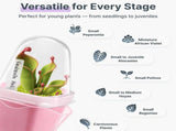 Self-Watering Square Seedling Pot with Adjustable Humidity Dome Semi-Transparent Pink Plastic V1341-ZY-SX33ZBRR-12PCS
