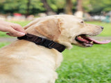 Tactical Dog Collar and Leash Set, Shock Absorbing Bungee Adjustable Strong Collar with V1259-DP01-A-4641