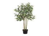 Potted Artificial Variegated Ficus Tree 168cm V637-84506FIC