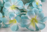 1 Set of 50 LED Tropical Blue Frangipani Flower Battery 5m LONG String Lights Christmas Gift Home V382-BLUEFRANGIBATT50